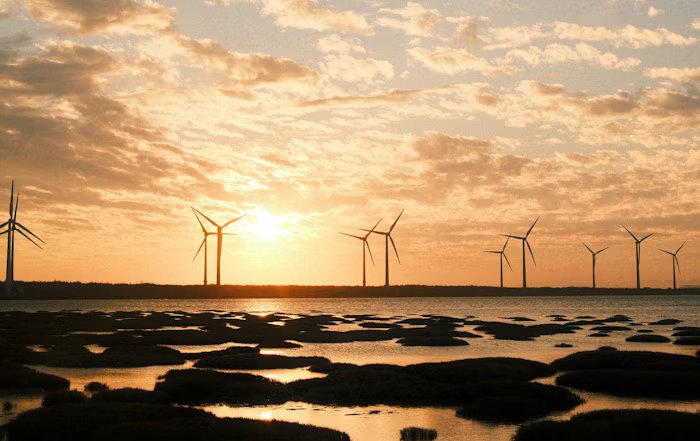 Article Image for Crypto Mining and Energy Sustainability Debates