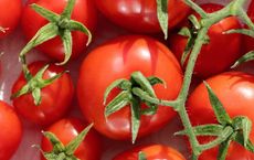 Article Image for Investing in the Future of Food and Agri-Tech