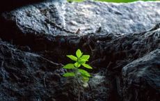 Article Image for Investment Opportunities Emerging From Green Technology