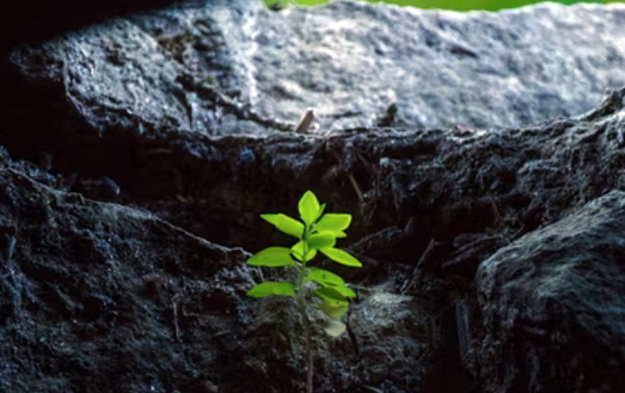 Article Image for Investment Opportunities Emerging From Green Technology