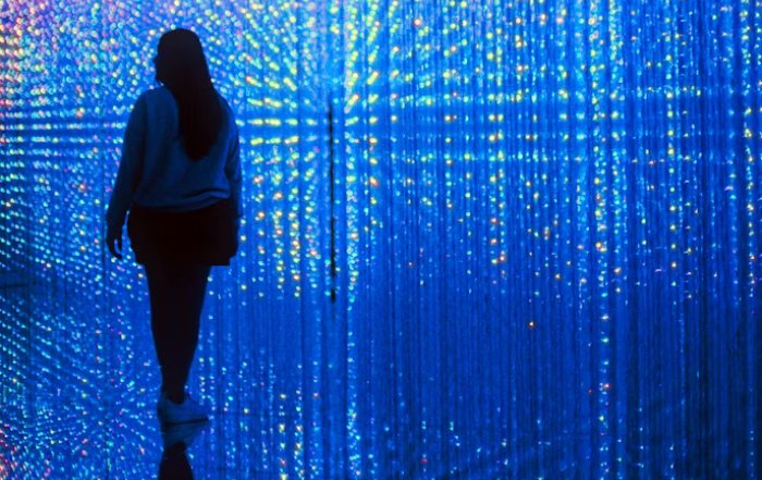 Article Image for Personal Data as an Asset in the Digital Economy