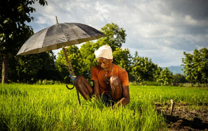 Article Image for Sustainable Agriculture and Business Investment