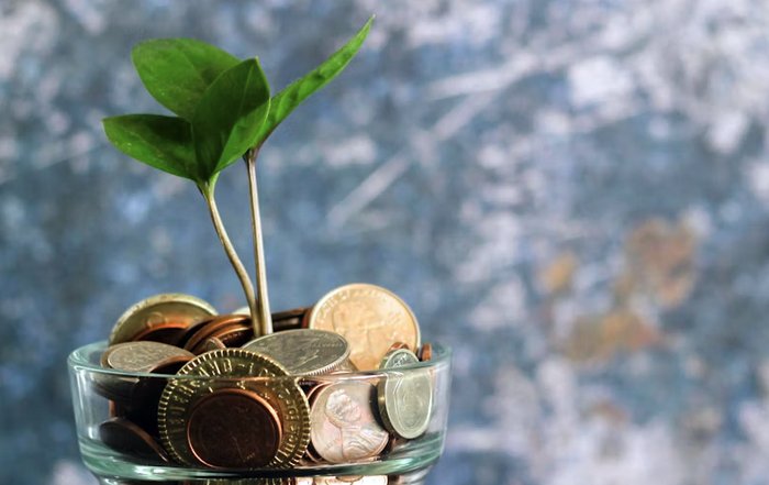 Article Image for Sustainable Finance and the Future of Capital Allocation