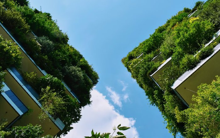 Article Image for Sustainable Investing and Portfolio Performance