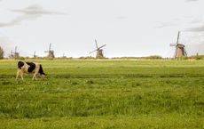 Article Image for The Dutch Economy and Sustainable Agriculture