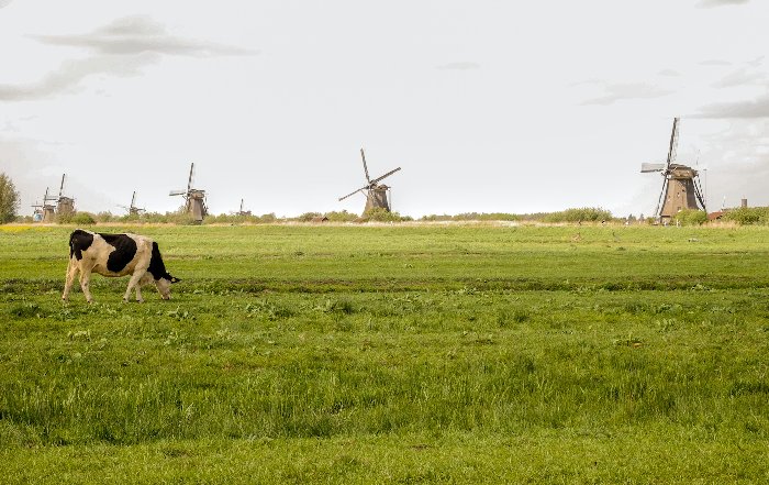 Article Image for The Dutch Economy and Sustainable Agriculture
