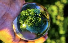 Article Image for Why Sustainable Investment Is Gaining Momentum Worldwide